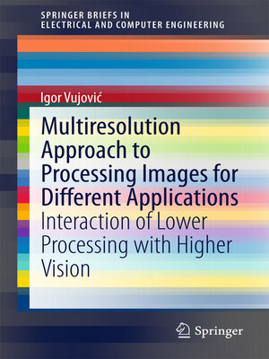 cover image of Multiresolution Approach to Processing Images for Different Applications